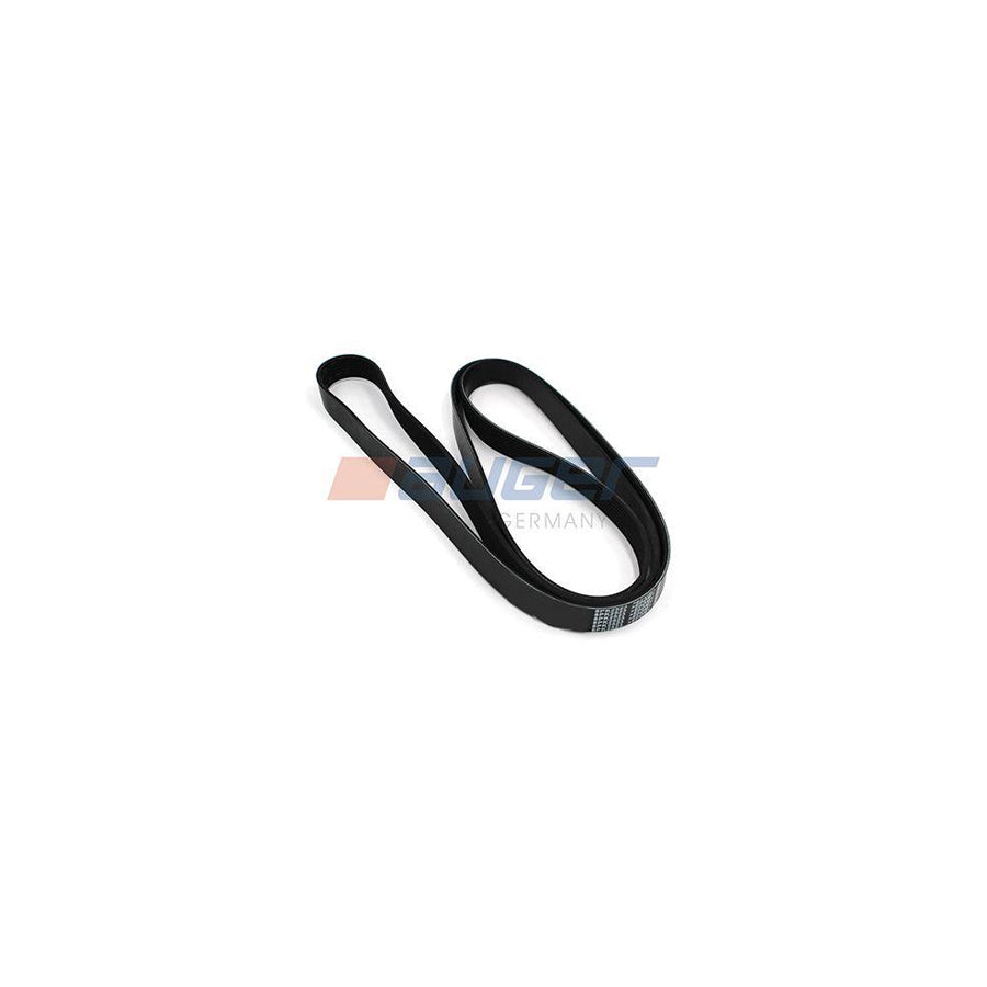 Auger 79953 V-Ribbed Belt