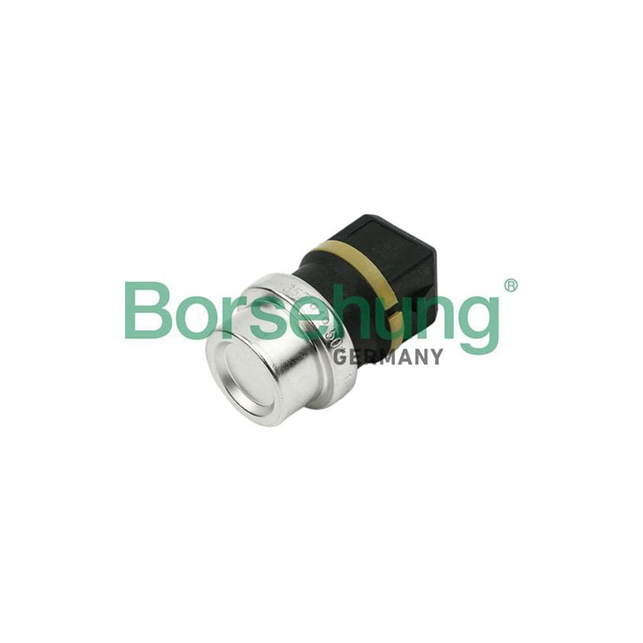 Borsehung B13134 Sensor, Coolant Temperature