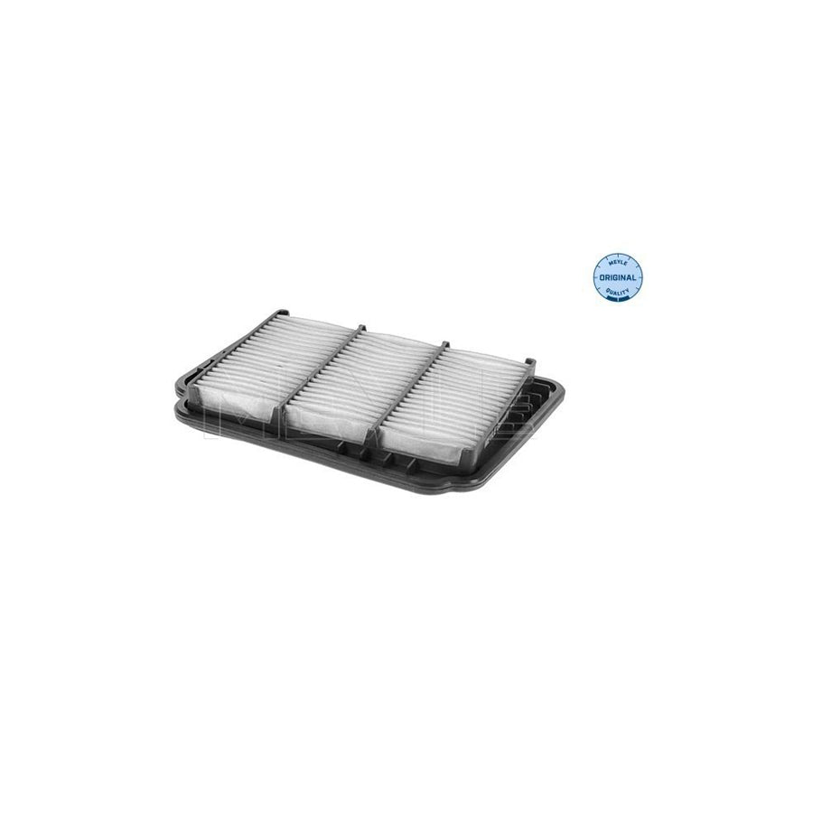 Meyle 29-12 321 0002 Air Filter