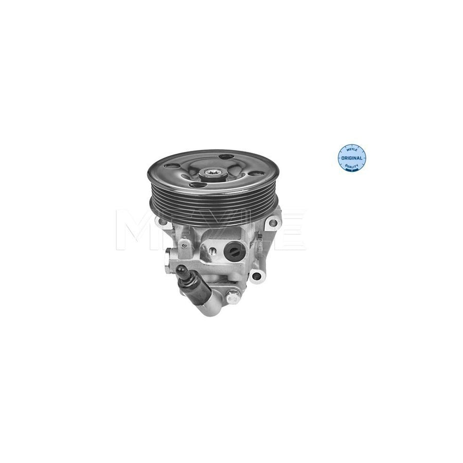 Meyle 714 631 0036 Power Steering Pump For Ford Transit