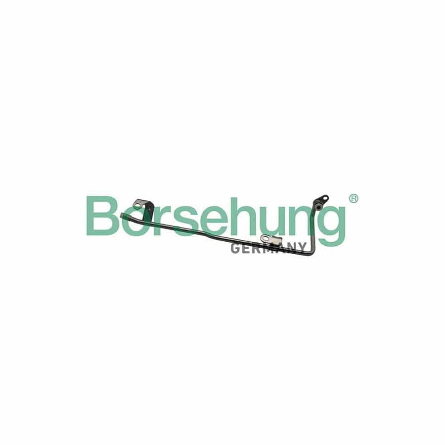 Borsehung B19268 Coolant Tube