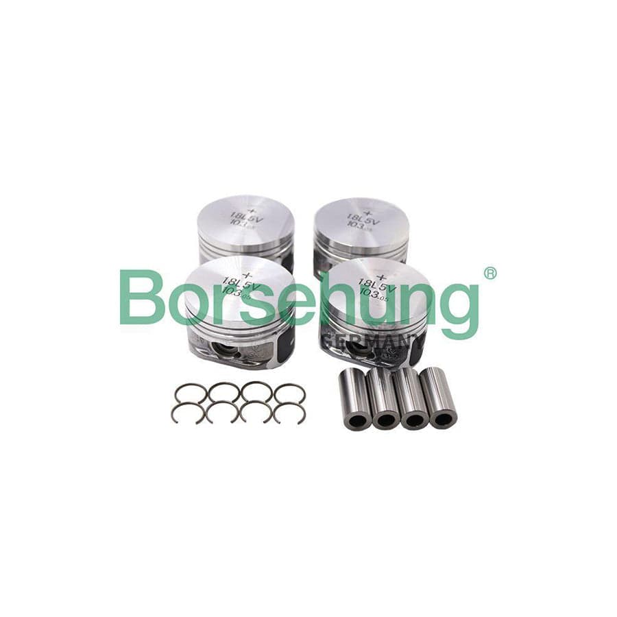 Borsehung B13579 Piston Ring Kit