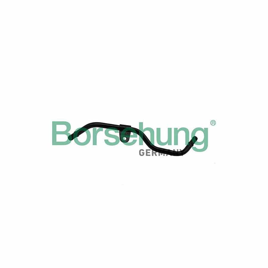 Borsehung B19265 Coolant Tube