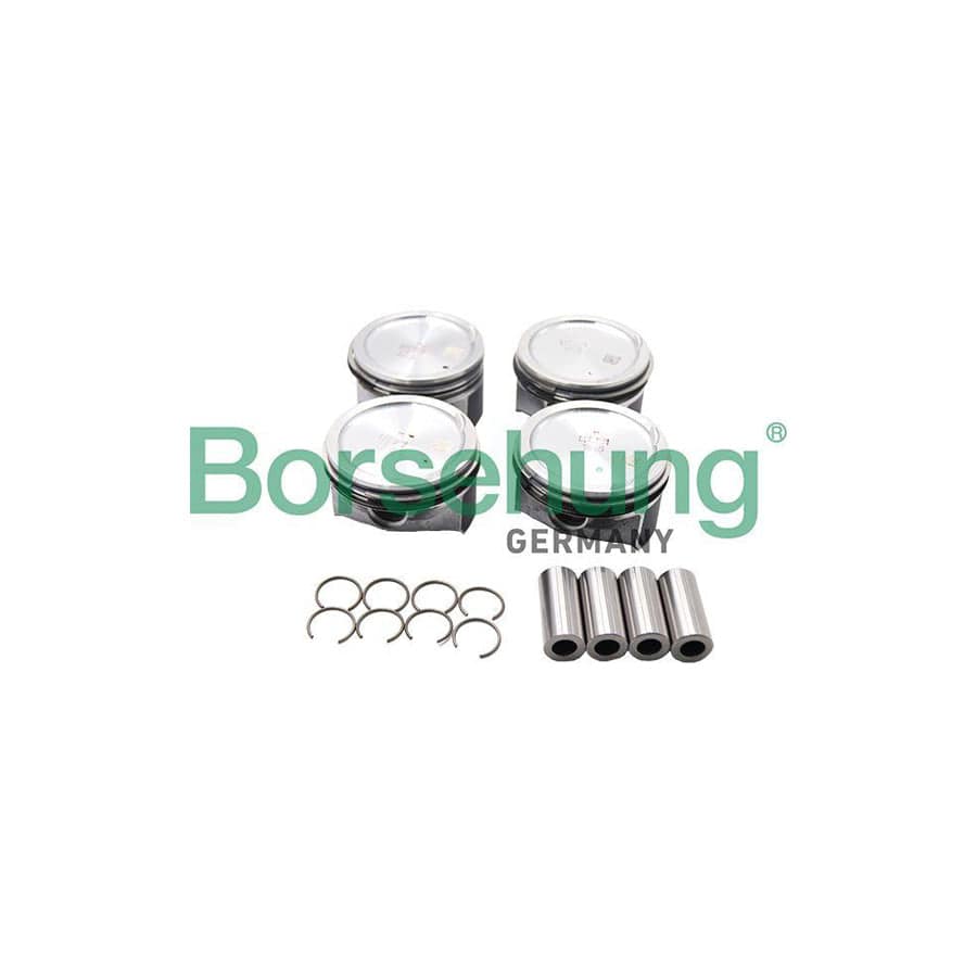 Borsehung B13577 Piston Ring Kit