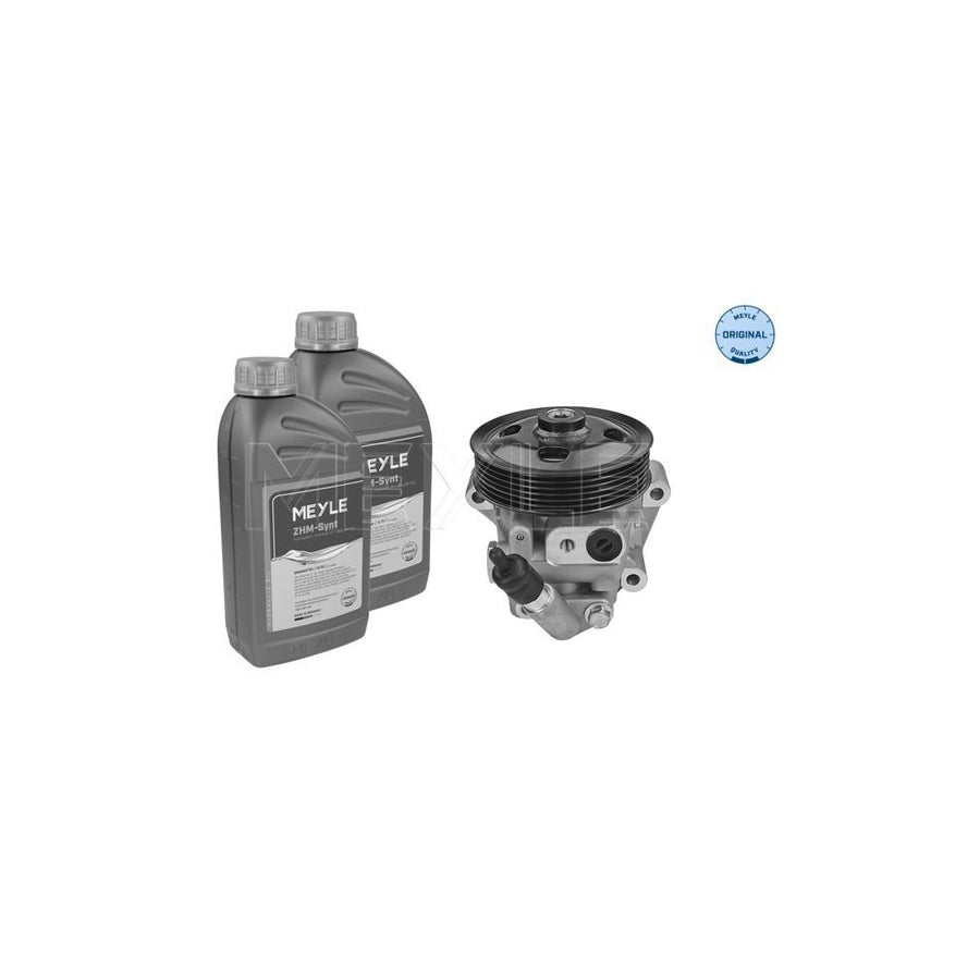 Meyle 714 631 0035/S Power Steering Pump