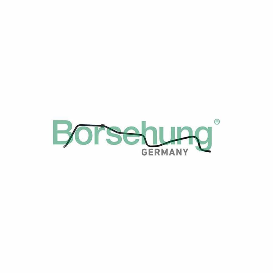 Borsehung B19264 Crankcase Breather Hose