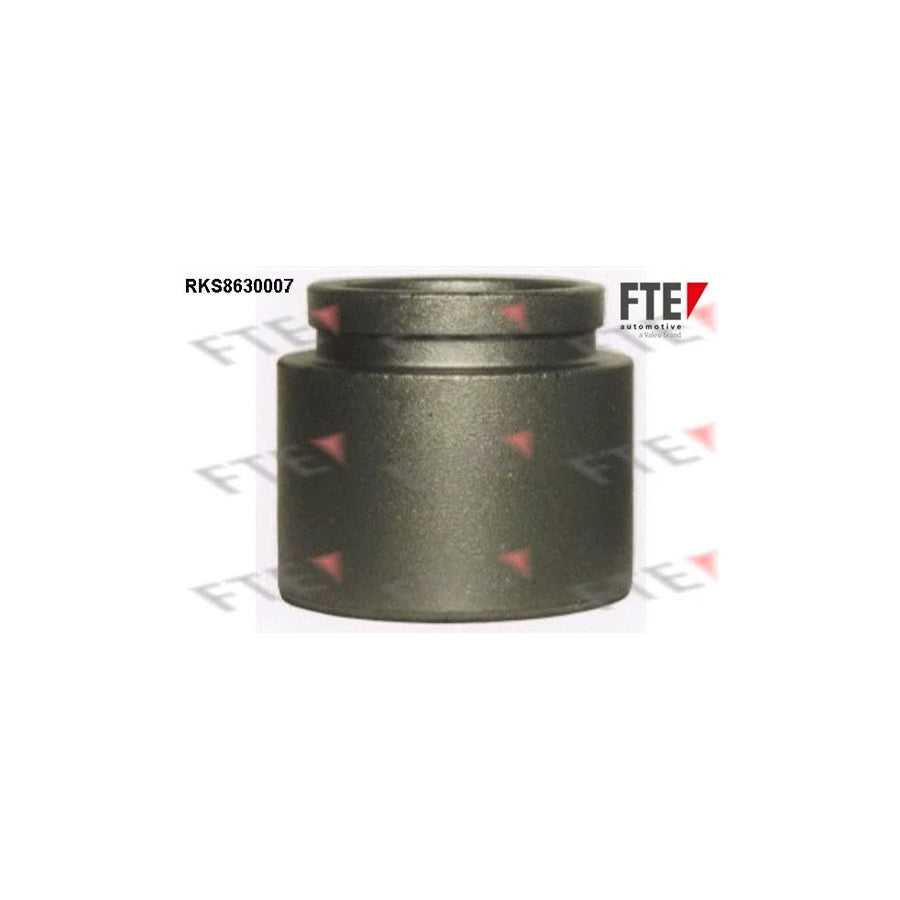 Fte RKS8630007 Piston, Brake Caliper | ML Performance UK Car Parts