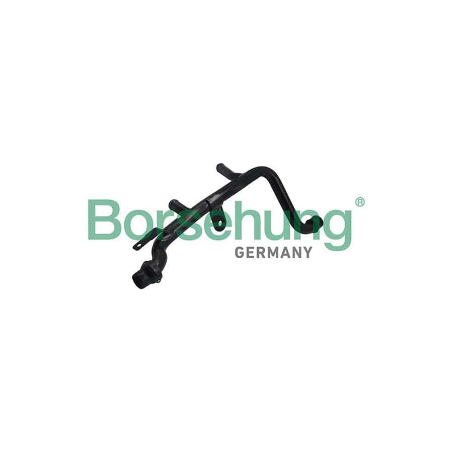 Borsehung B19263 Coolant Tube