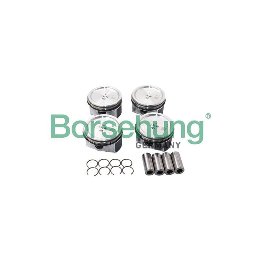 Borsehung B13576 Piston Ring Kit