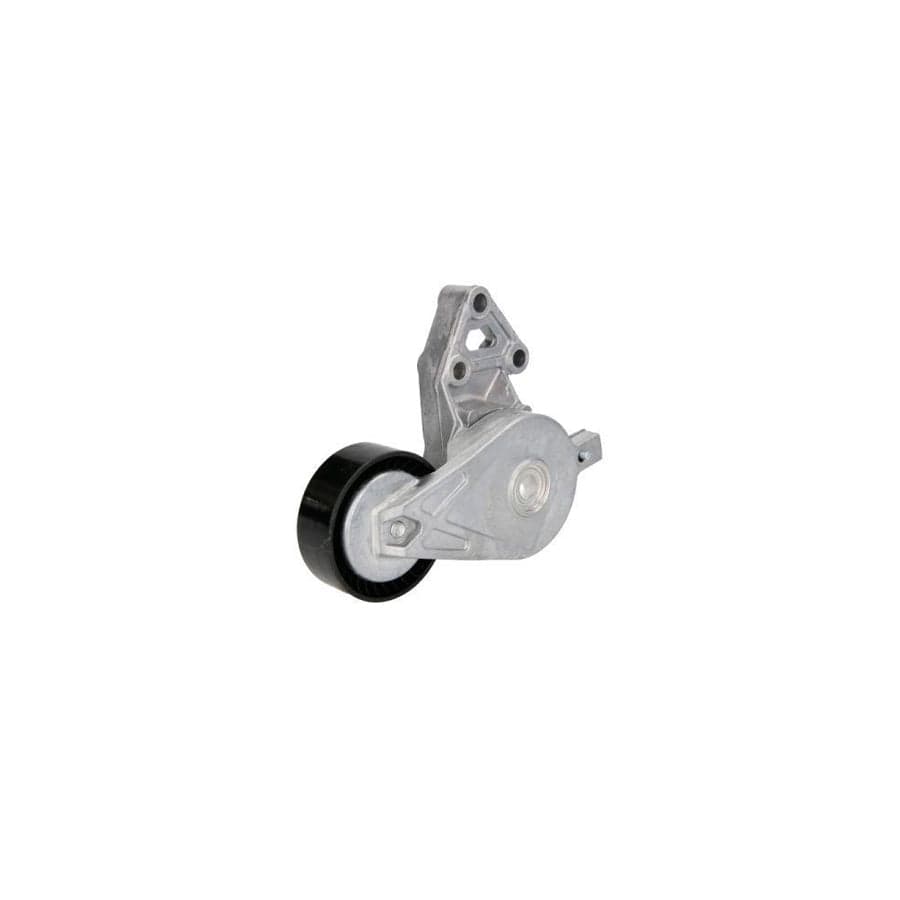 Bta E3W0024BTA Tensioner Lever, V-Ribbed Belt