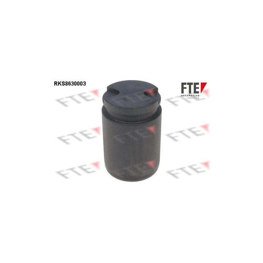 Fte RKS8630003 Piston, Brake Caliper | ML Performance UK Car Parts