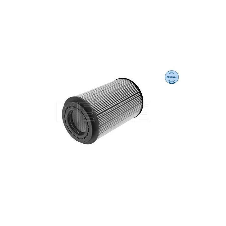 Meyle 534 323 0001 Fuel Filter