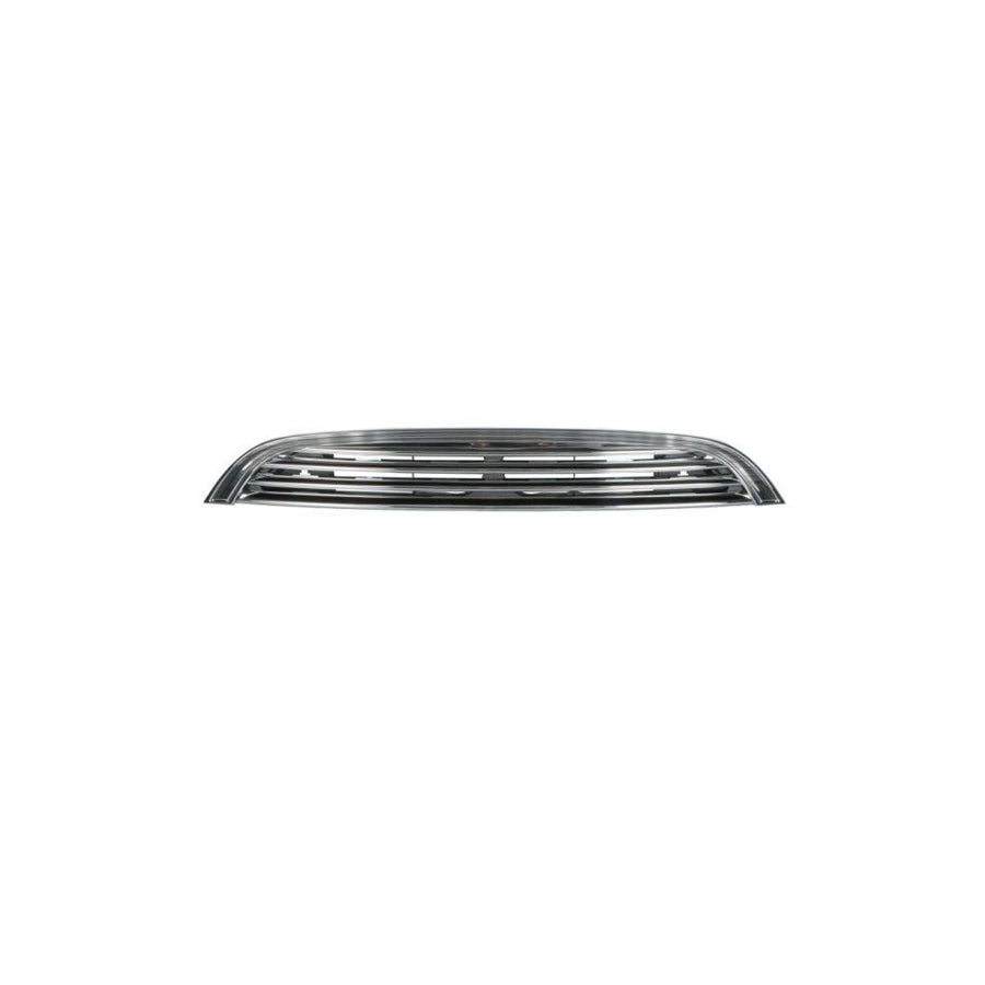 Blic 6502-07-4001995Q Radiator Grille