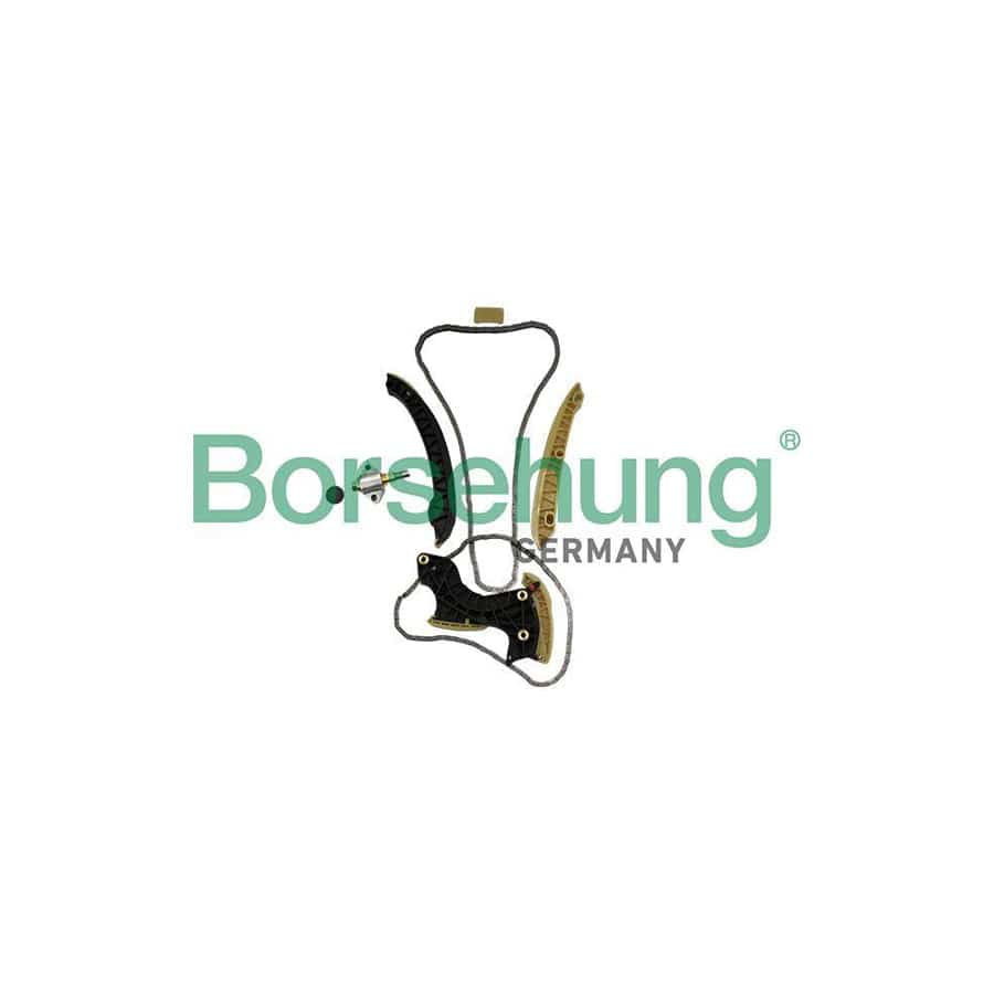 Borsehung B19296 Timing Chain Kit