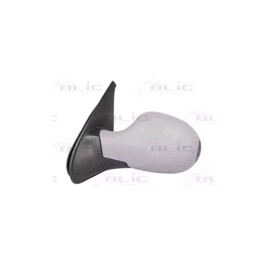 Blic 5402-09-2002213P Wing Mirror For Renault Symbol / Thalia Ii