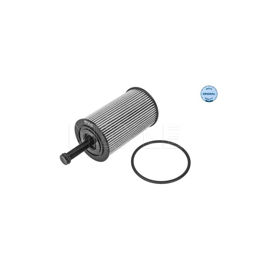 Meyle 11-14 322 0001 Oil Filter