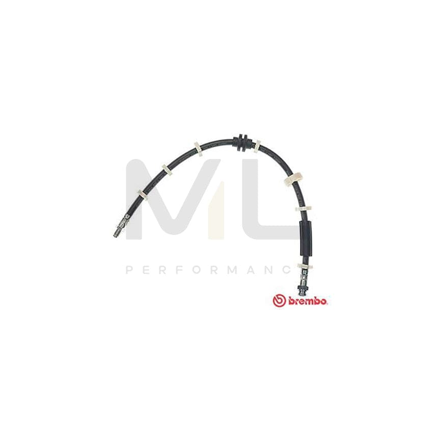 BREMBO T 23 031 Brake Hose 560mm, F10X1 | ML Performance Car Parts