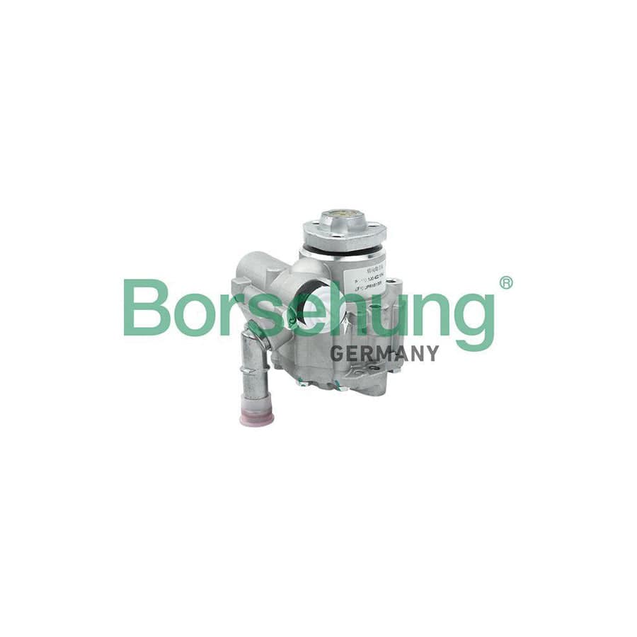 Borsehung B13212 Power Steering Pump