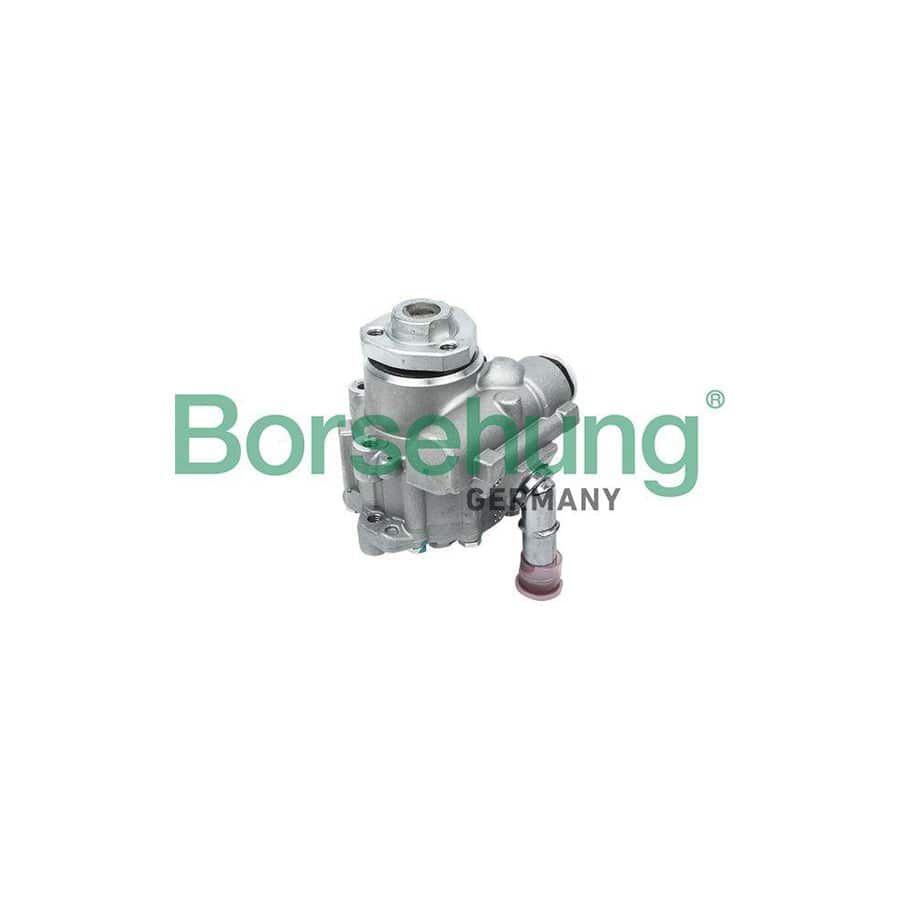 Borsehung B13211 Power Steering Pump