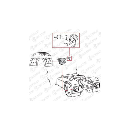 Covind Scr/526 Holder, Mudguard | ML Performance UK