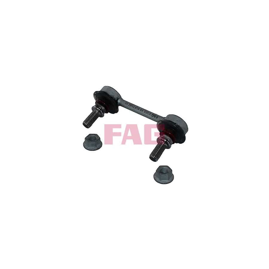 FAG 818 0582 10 Anti Roll Bar Link