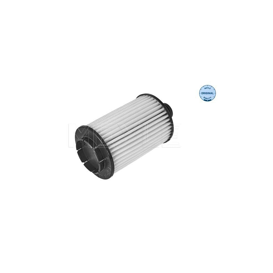 Meyle 29-14 322 0003 Oil Filter