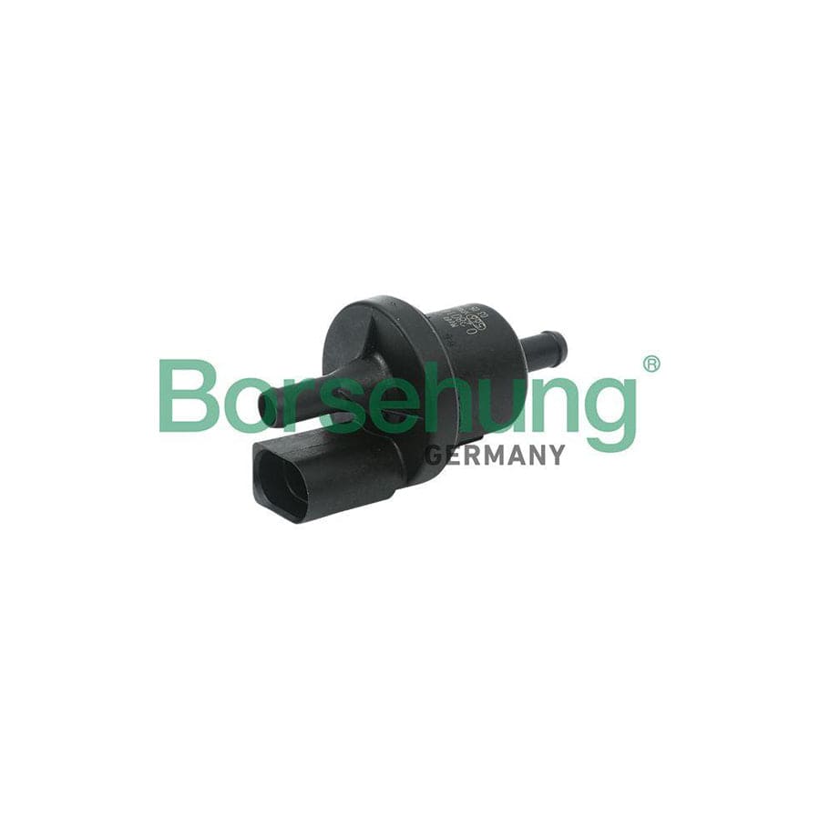 Borsehung B13667 Valve, Activated Carbon Filter