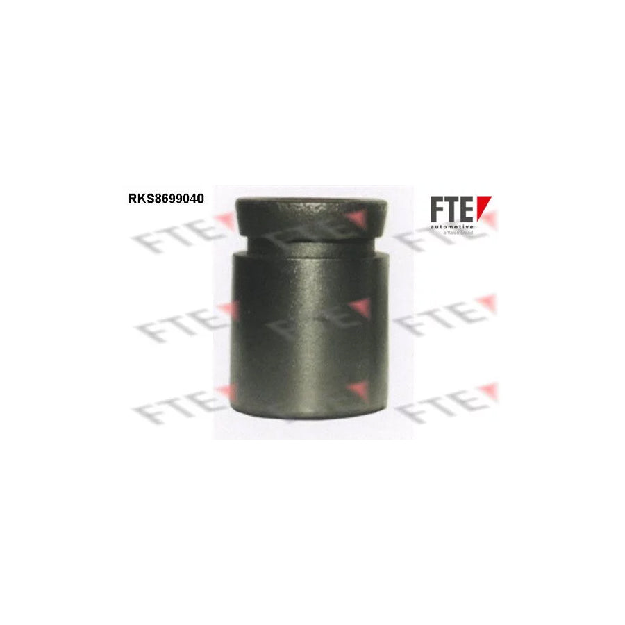 Fte 9313498 Piston, Brake Caliper | ML Performance UK Car Parts