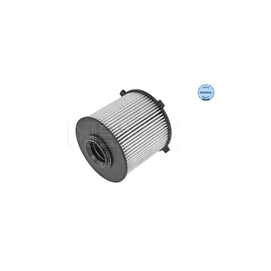 Meyle 29-14 323 0004 Fuel Filter