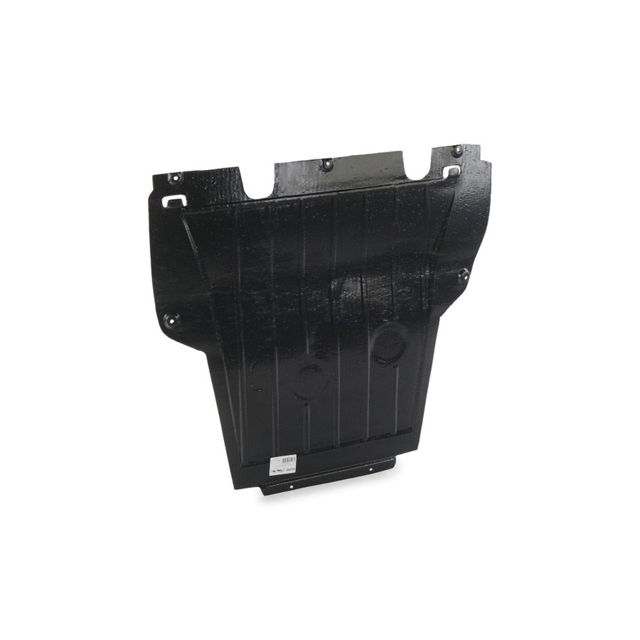 Blic 6601-02-6007860P Engine Cover