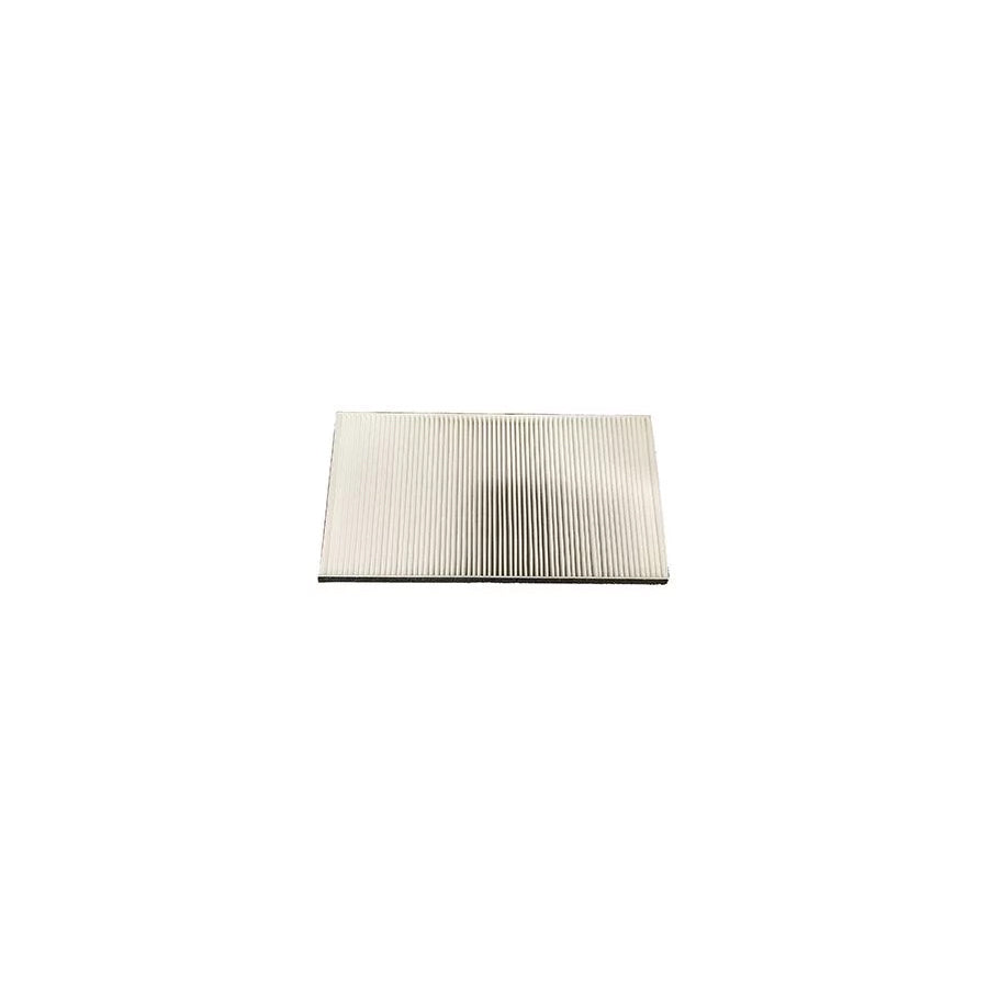 Fleetguard AF25733 Air Filter | ML Performance UK Car Parts