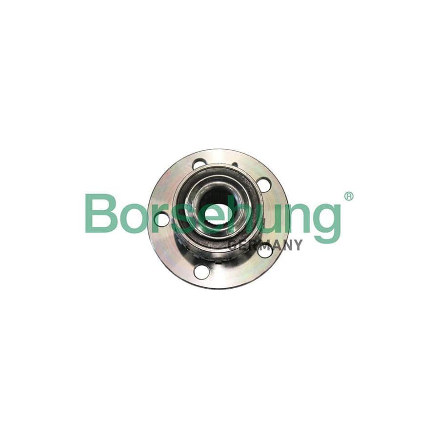 Borsehung B19285 Wheel Bearing Kit