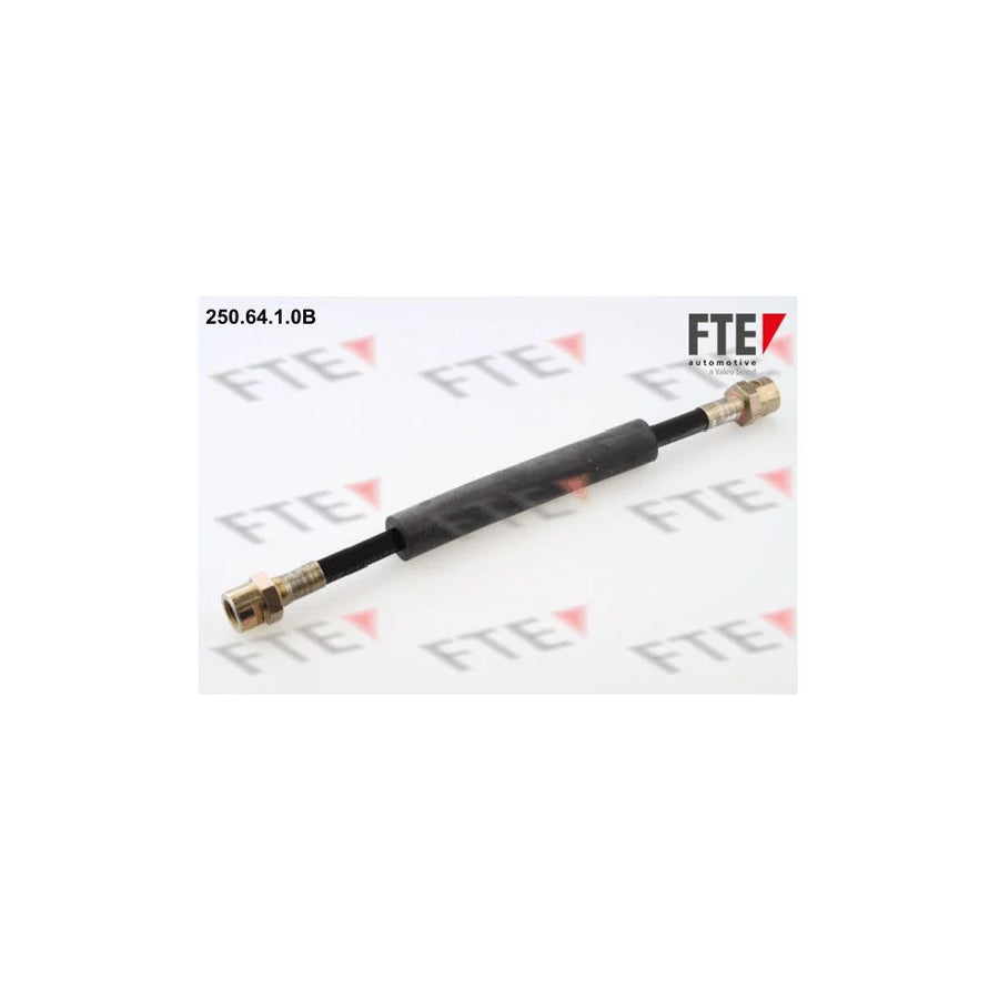 Fte 9741012 Brake Hose | ML Performance UK Car Parts