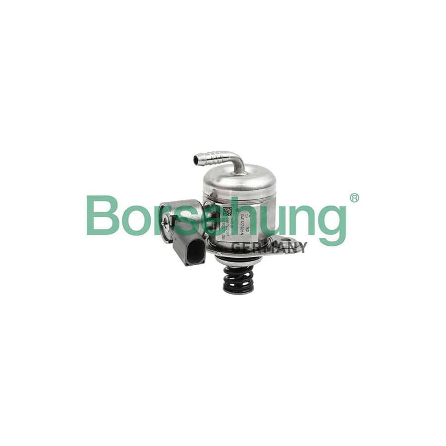 Borsehung B13662 High Pressure Fuel Pump