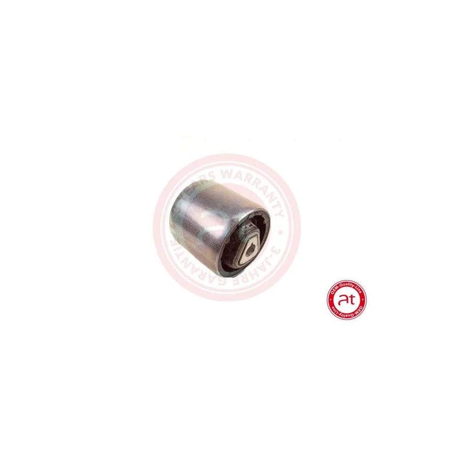 At Autoteile Germany at10802 Control Arm- / Trailing Arm Bush