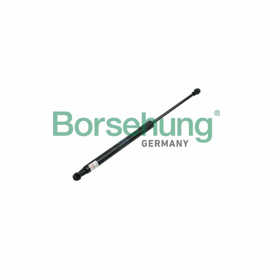 Borsehung B14198 Tailgate Strut For Skoda Superb Ii Hatchback (3T4)