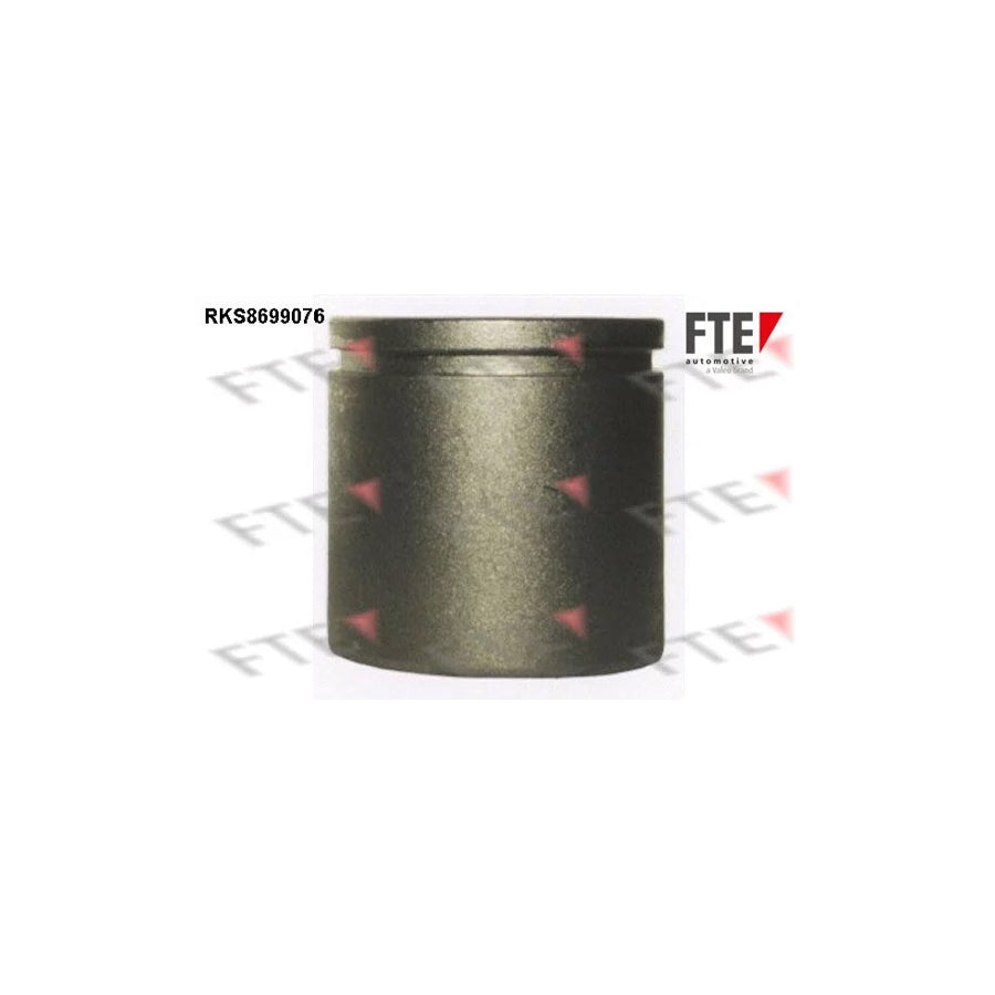 Fte 9313521 Piston, Brake Caliper | ML Performance UK Car Parts