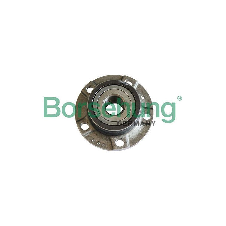 Borsehung B19284 Wheel Bearing Kit