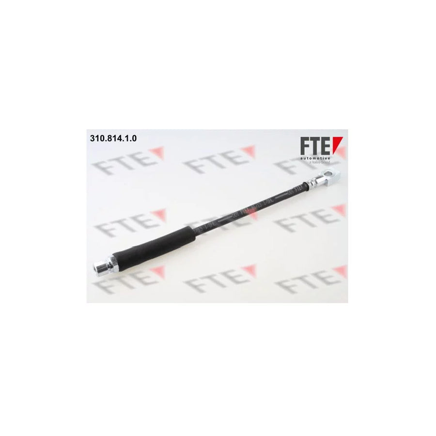 Fte 310.814.1.0 Brake Hose | ML Performance UK Car Parts