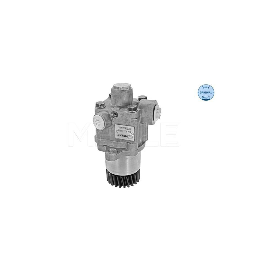 Meyle 534 631 0002 Power Steering Pump