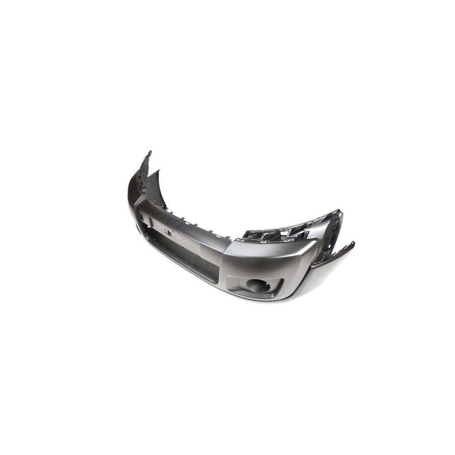 Blic 5703-05-6033971P Bumper Moulding For Renault Clio III Hatchback (Br0/1, Cr0/1)