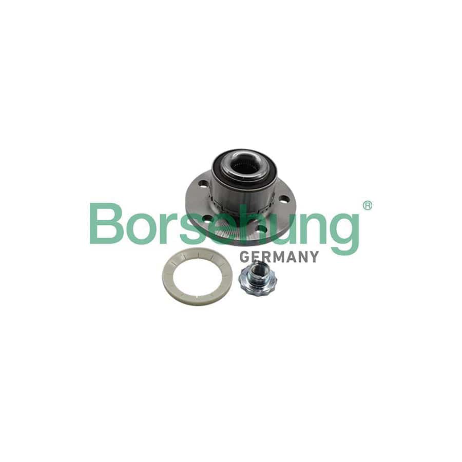 Borsehung B19309 Wheel Bearing Kit