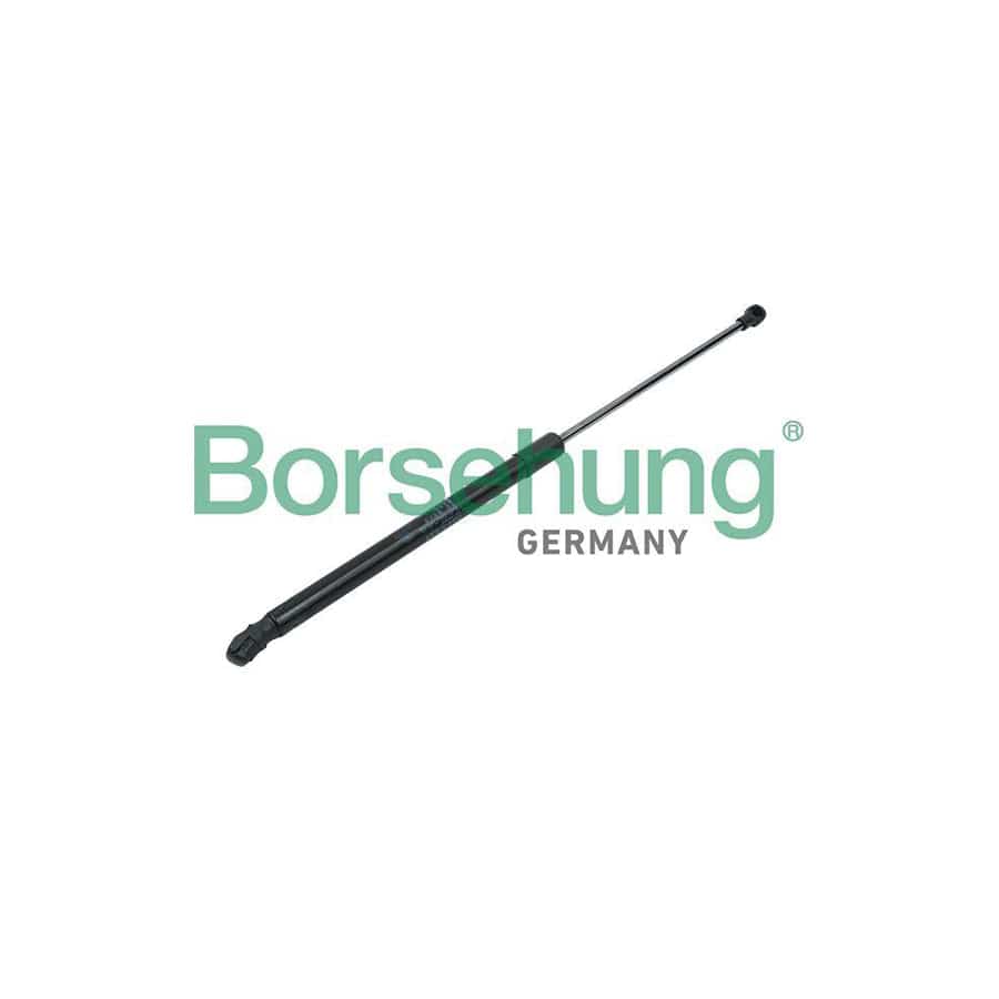 Borsehung B14191 Tailgate Strut