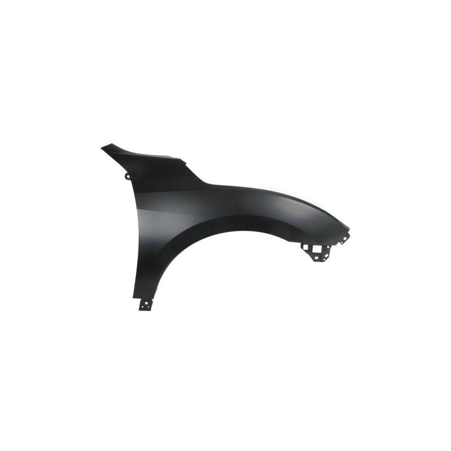 Blic 6504-04-2914314P Wing Fender For Honda Civic X Hatchback (Fc,Fk)