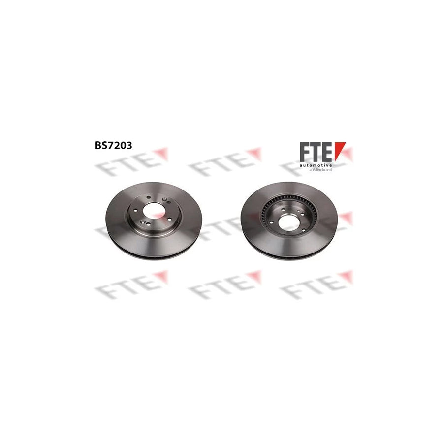 Fte BS7203 Brake Disc | ML Performance UK Car Parts