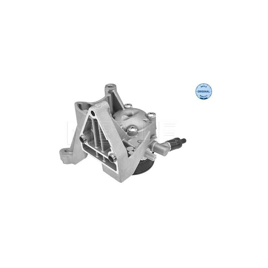 Meyle 214 631 0000 Power Steering Pump For Fiat Ducato