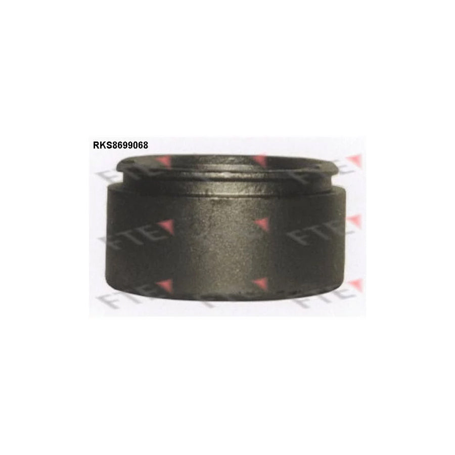 Fte 9313518 Piston, Brake Caliper | ML Performance UK Car Parts