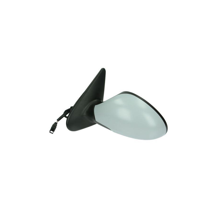 Blic 5402-04-1139997P Wing Mirror