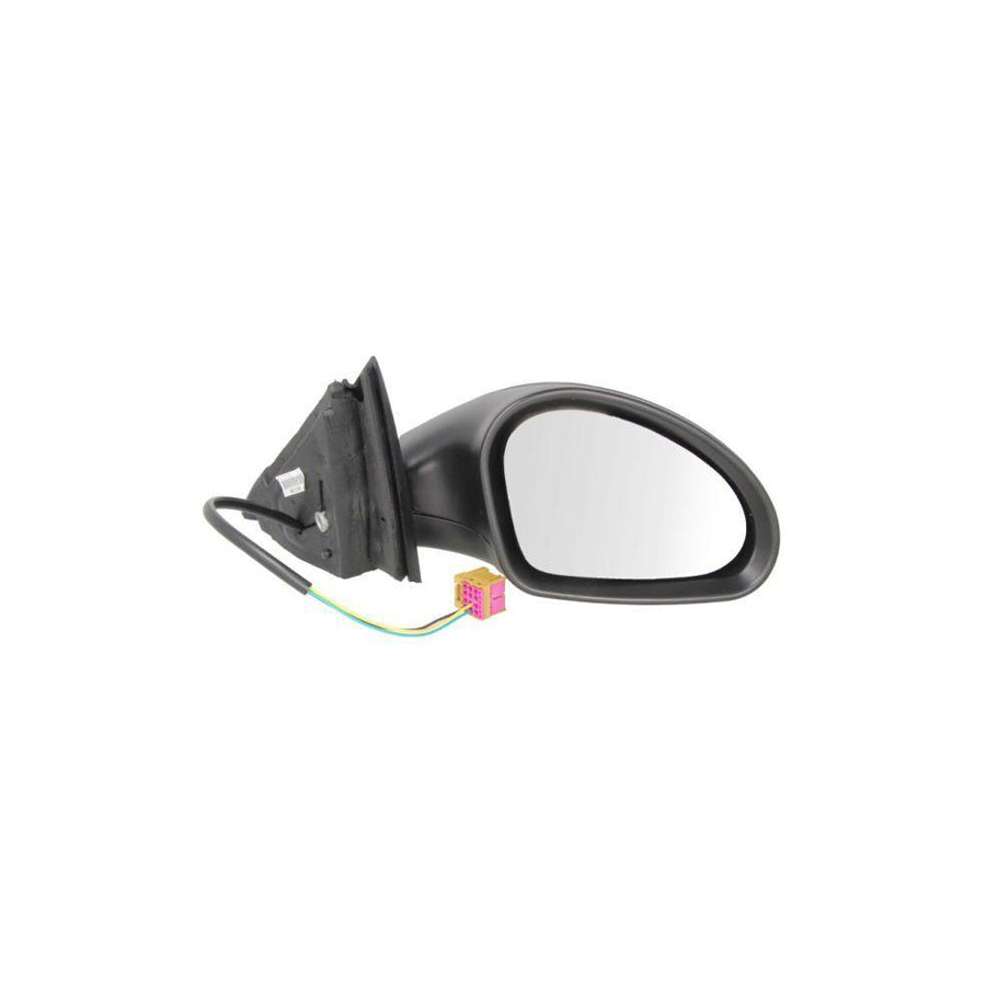 Blic 5402-10-2002274P Wing Mirror