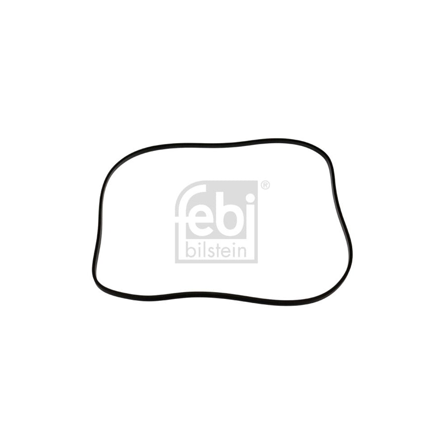 Febi Bilstein 15223 Rocker Cover Gasket